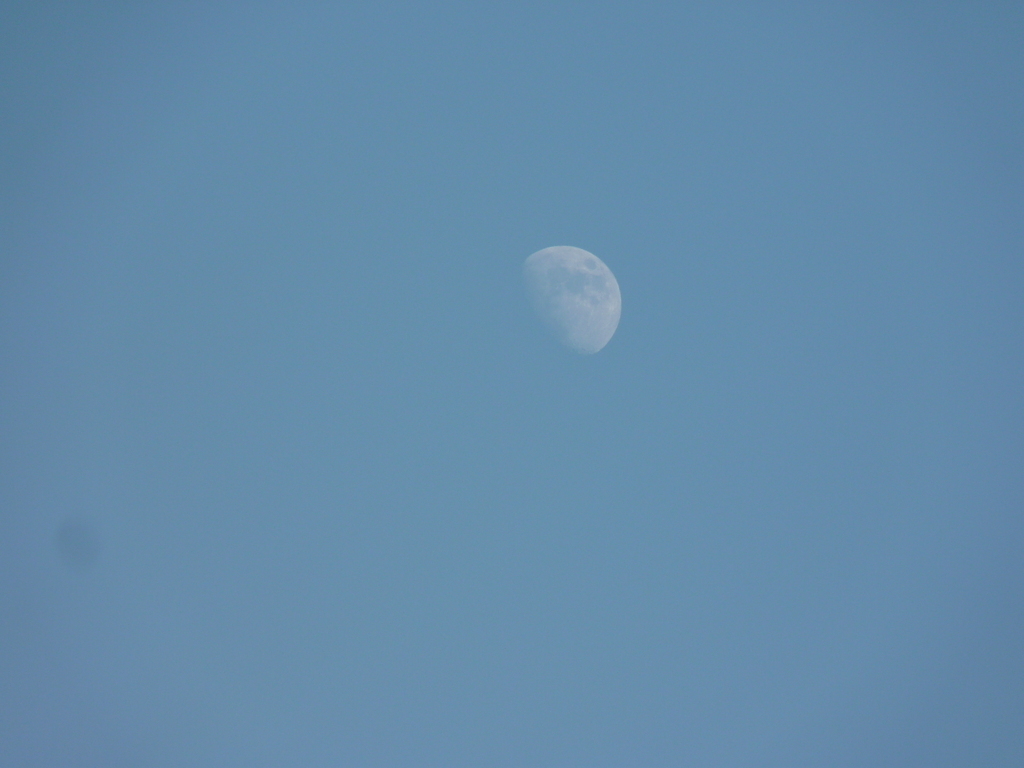 No s'ha trobat l'arxiu